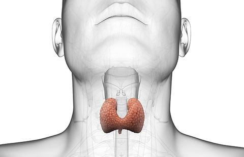 Adrenal and Thyroid Disorders Photo
